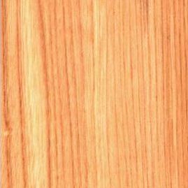 Elm