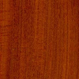 Cuban mahogany