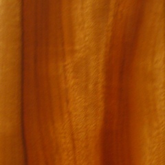 Camphorwood