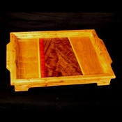 elm tray